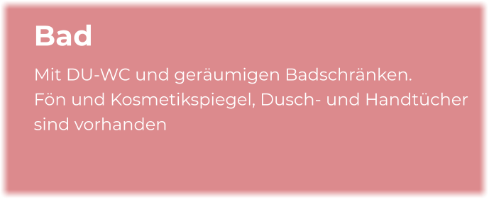 Bad Mit DU-WC und geräumigen Badschränken.  Fön und Kosmetikspiegel, Dusch- und Handtücher sind vorhanden