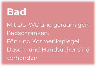 Bad Mit DU-WC und geräumigen Badschränken.  Fön und Kosmetikspiegel, Dusch- und Handtücher sind vorhanden