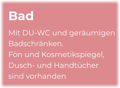 Bad Mit DU-WC und geräumigen Badschränken.  Fön und Kosmetikspiegel, Dusch- und Handtücher sind vorhanden